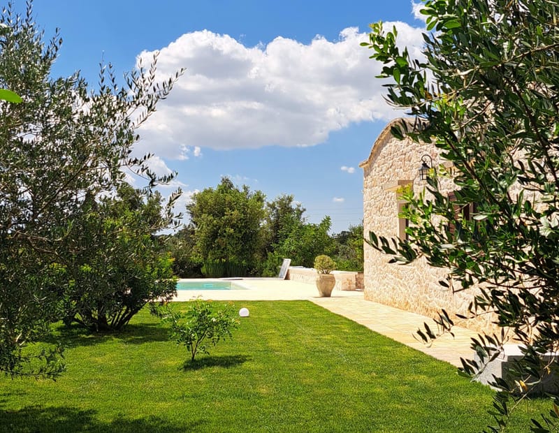 Der Hain geht direkt in den Garten über: alte Olivenbäume, Rasen, dahinter das Steinhaus und der Pool