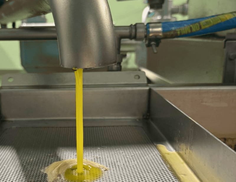 Frisch gepresstes Öl läuft aus der Mühle